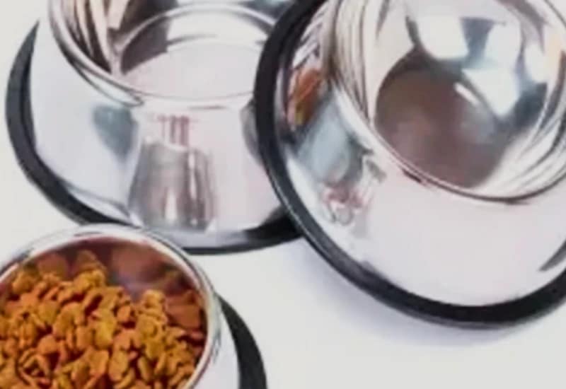 Dog Feed Bowl set with anti-slip rubber base and one bowl filled with dry kibble.
